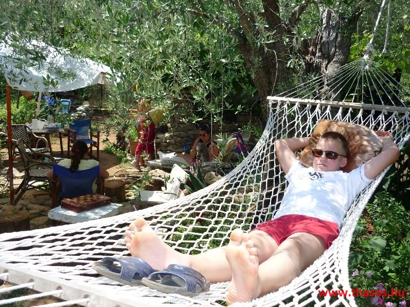 balazsh 2011